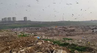 Bakanlıktan Bursa Büyükşehir Belediyesi'ne çevre kirliliği cezası