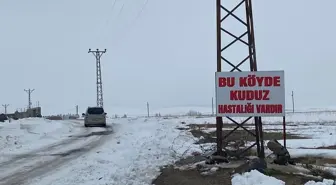 Bitlis'te bir köy kuduz nedeniyle karantinaya alındı