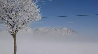 Bitlis'te sis etkili oluyor