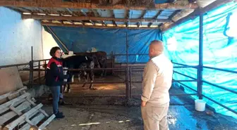 ÇMVA çalışmaları devam ediyor