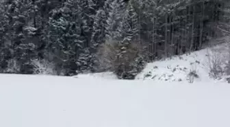 Derenin üzerinde zıplarken buz kırılınca suya düştüler; o anlar kamerada