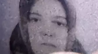 Düşürdüğü cüzdanını almaya çalışırken kamyonun altında kalarak öldü; kaza kamerada