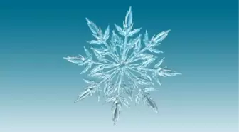 Erzurum okullar tatil mi, 9 Ocak Cuma Erzurum'da okul yok mu (ERZURUM VALİLİĞİ - KAR TATİLİ)?