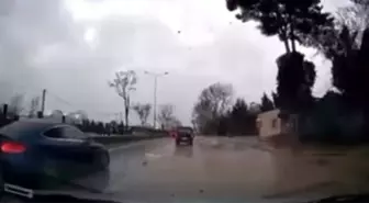 Fırtınanın ağacı devirme anı kamerada