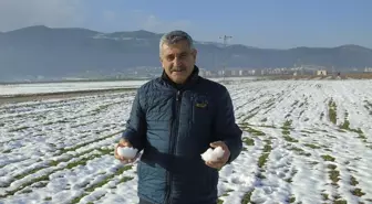 Gaziantep'te kar yağışı çiftçinin yüzünü güldürdü