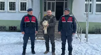 Giresun'da yaralı bulunan kızıl şahin tedavi altına alındı