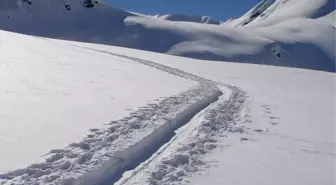 Hakkari okullar tatil mi, 9 Ocak Cuma Hakkari'de okul yok mu (HAKKARİ VALİLİĞİ - KAR TATİLİ)?