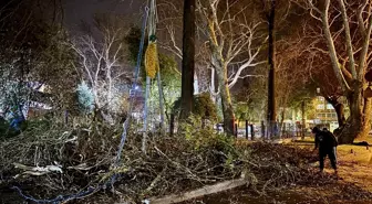 İzmir'de devrilen ağaç park halindeki otomobile ve işletmeye zarar verdi