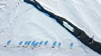 Kars'ta köylerden geçen menderesler hayvancılığa can suyu oluyor