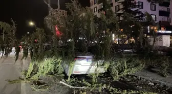 Kayseri'de kuvvetli fırtınada otomobilin üzerine ağaç devrildi