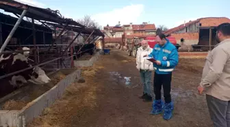 Kütahya'da hayvancılık işletmelerine yönelik kapasite tespiti sürüyor