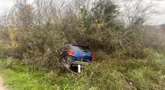 Milas'ta araç şarampole uçtu: 1 yaralı