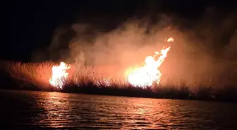 Milleyha Kuş Cenneti'nde sazlık yangını