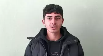 Sivas'ta kurtlar tedirgin etmeye başladı