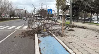 Tekirdağ'da fırtına; eğitim uçuşları iptal edildi, balıkçılar denize açılamadı