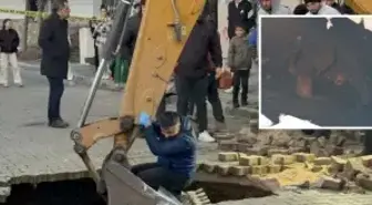 Manisa'da çöken yolda insan kafatası ve kemikler bulundu