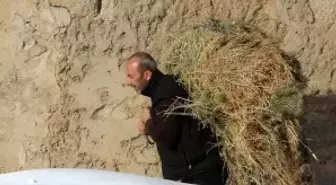 Van'da besicilerin zorlu kış mesaisi