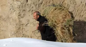 Van'da besicilerin zorlu kış mesaisi