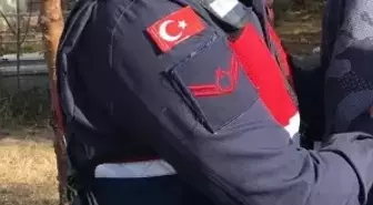 7 şirkete altın kaçakçılığı operasyonu