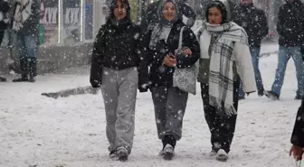 Ağrı'da kar yağışı etkili oluyor