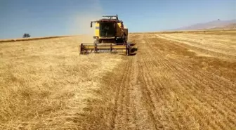 Bayburt'ta besici ve yetiştiricilere yemlik arpa satışı yapılacak