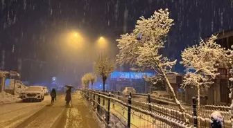 Derecik'te kar etkili oldu