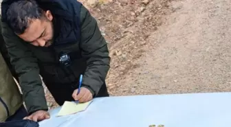 DKMP'den yasa dışı avcılığa 4 ilde 3,9 milyon lira ceza