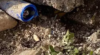 Elektrik kabloları kesilerek çalındı