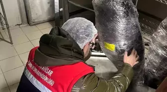 Gıda üretim ve satışı yapan işletmelerine yönelik denetim