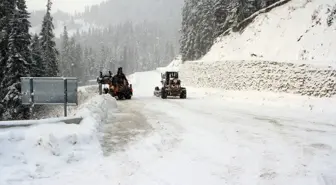 Ilgaz Dağı'nda kar yağışı etkisini sürdürüyor