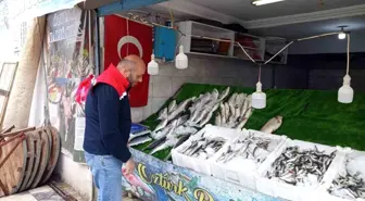 Köşk'te su ürünleri işletmeleri mercek altında