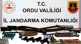 Ordu'da silah ve uyuşturucu operasyonu