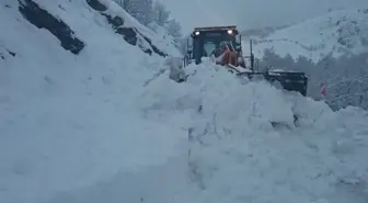 Tunceli'de yola çığ düştü