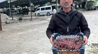 2025 yılı üzümlerini 2026'da bitirdi