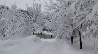 Bitlis'te 111 köy yolu kardan kapandı