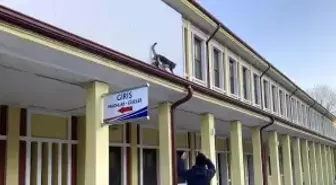 Çatıda mahsur kalmış gibi bağırıp gençlerle oynayan kedi yine aynısını yaptı