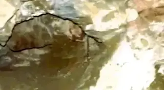 Defineciler 300 yıllık tarihi hamamı talan etti