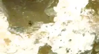 Defineciler 300 yıllık tarihi hamamı talan etti