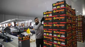 Doğu Akdeniz'den yaş meyve ve sebze ihracatına önemli katkı