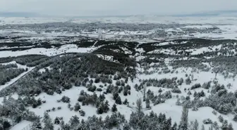 Kardeşler Ormanı'ndan 'karlı' Sivas manzarası