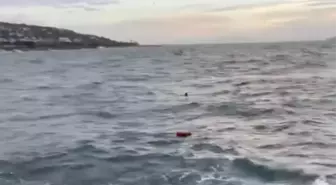 Maltepe'de Denize Giren Kişi Boğularak Hayatını Kaybetti