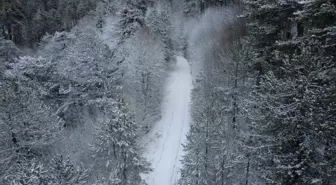 Manisa'nın yüksek kesimlerinde kar yağışı etkili oldu
