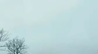 Salıpazarı'nda kuvvetli rüzgar etkili oldu