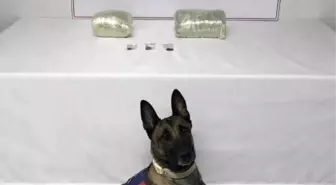 Şanlıurfa'da 2 kilo kubar esrar ele geçirildi: 1 gözaltı