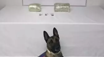 Şanlıurfa'da uyuşturucu operasyonunda 1 şüpheli yakalandı