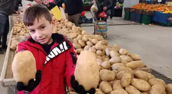 Sarıgöl Pazarı'nda Dev Patatesler İlgi Görüyor