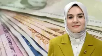 Üç kesime dağıtılacak! Bakanlık, 132 bin kişi için 5,1 milyarlık kaynak ayırdı