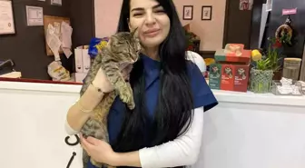 Uzman Veteriner Hekim Tuğçe Kara: 'Tüyü var üşümez inancı yanlış'