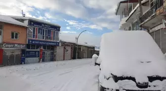Van'da 6 ilçede 405 yerleşim yerinin yolu kar yağışı nedeniyle kapandı