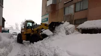 Bitlis'te kapanan 111 köy ve mezra yolundan 89'u açıldı